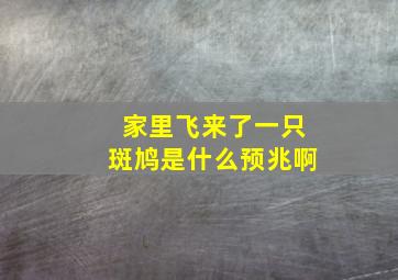 家里飞来了一只斑鸠是什么预兆啊