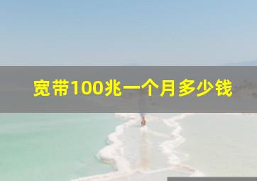 宽带100兆一个月多少钱