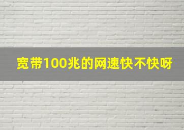 宽带100兆的网速快不快呀