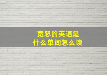 宽恕的英语是什么单词怎么读