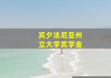 宾夕法尼亚州立大学奖学金