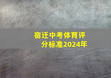 宿迁中考体育评分标准2024年