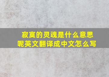 寂寞的灵魂是什么意思呢英文翻译成中文怎么写