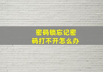 密码锁忘记密码打不开怎么办