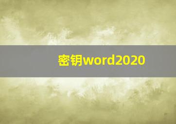 密钥word2020