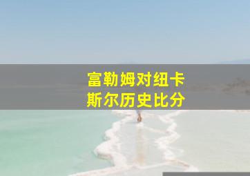 富勒姆对纽卡斯尔历史比分