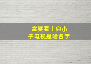 富婆看上穷小子电视是啥名字