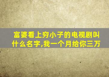 富婆看上穷小子的电视剧叫什么名字,我一个月给你三万