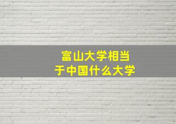 富山大学相当于中国什么大学