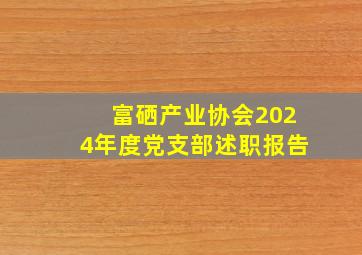 富硒产业协会2024年度党支部述职报告