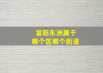 富阳东洲属于哪个区哪个街道