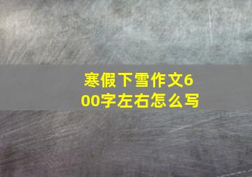 寒假下雪作文600字左右怎么写