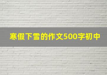 寒假下雪的作文500字初中