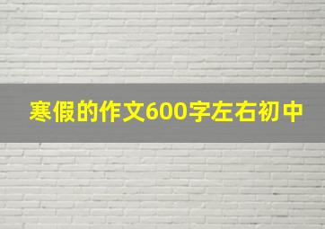 寒假的作文600字左右初中