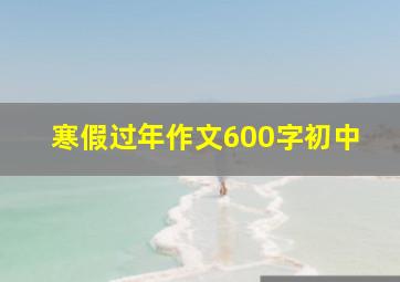 寒假过年作文600字初中