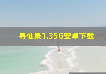 寻仙录1.35G安卓下载