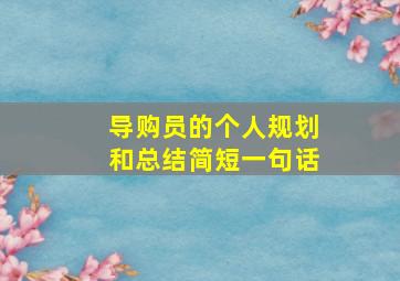 导购员的个人规划和总结简短一句话