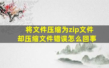 将文件压缩为zip文件却压缩文件错误怎么回事