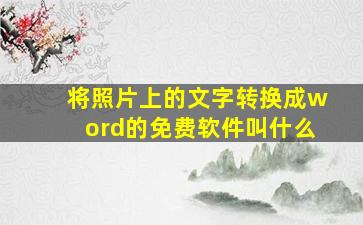 将照片上的文字转换成word的免费软件叫什么