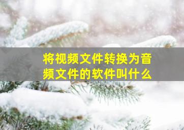 将视频文件转换为音频文件的软件叫什么