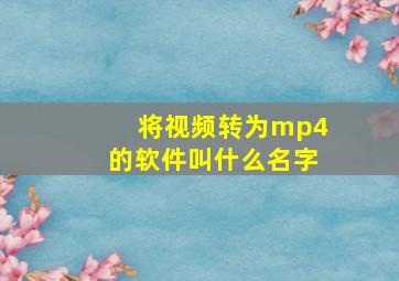 将视频转为mp4的软件叫什么名字