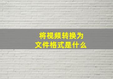 将视频转换为文件格式是什么