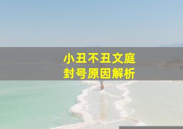 小丑不丑文庭封号原因解析