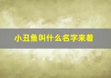 小丑鱼叫什么名字来着