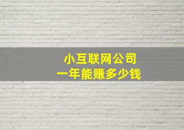 小互联网公司一年能赚多少钱