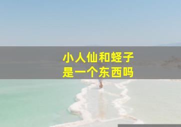 小人仙和蛏子是一个东西吗