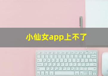 小仙女app上不了