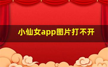 小仙女app图片打不开