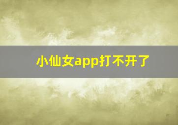 小仙女app打不开了