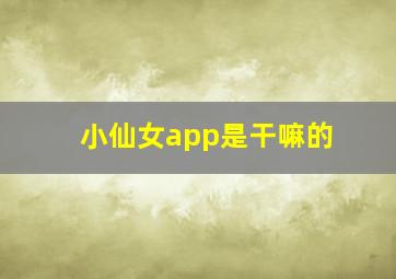 小仙女app是干嘛的