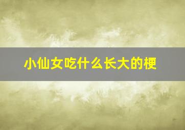 小仙女吃什么长大的梗