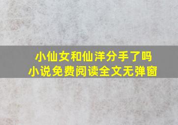 小仙女和仙洋分手了吗小说免费阅读全文无弹窗