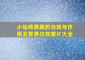 小仙炖燕窝的功效与作用及营养功效图片大全