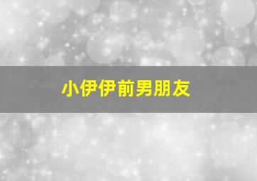 小伊伊前男朋友