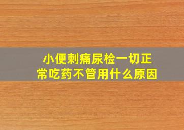 小便刺痛尿检一切正常吃药不管用什么原因