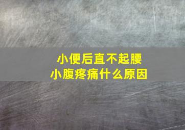 小便后直不起腰小腹疼痛什么原因