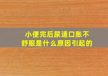 小便完后尿道口胀不舒服是什么原因引起的