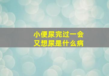 小便尿完过一会又想尿是什么病