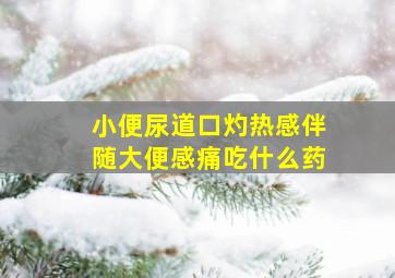 小便尿道口灼热感伴随大便感痛吃什么药