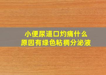 小便尿道口灼痛什么原因有绿色粘稠分泌液