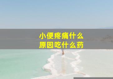 小便疼痛什么原因吃什么药