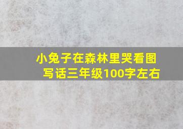 小兔子在森林里哭看图写话三年级100字左右