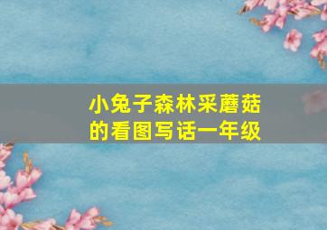 小兔子森林采蘑菇的看图写话一年级