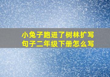 小兔子跑进了树林扩写句子二年级下册怎么写