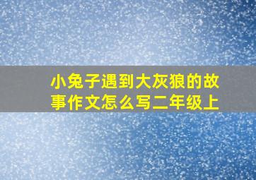 小兔子遇到大灰狼的故事作文怎么写二年级上