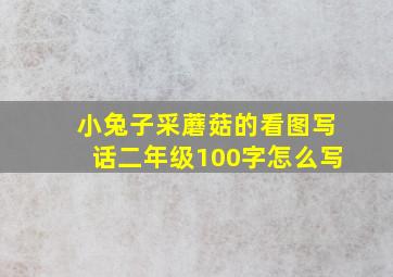 小兔子采蘑菇的看图写话二年级100字怎么写